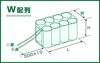 W配列 リード線付き