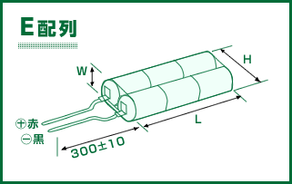 E配列 リード線付き