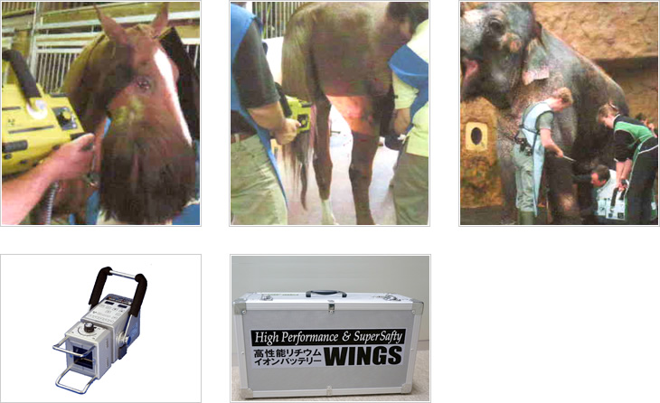 携帯型X線装置用電池パック